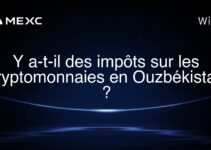 Y a-t-il des impôts sur les cryptomonnaies en Ouzbékistan ?