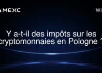 Y a-t-il des impôts sur les cryptomonnaies en Pologne ?
