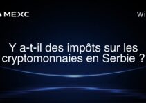 Y a-t-il des impôts sur les cryptomonnaies en Serbie ?
