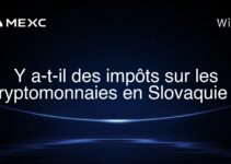 Y a-t-il des impôts sur les cryptomonnaies en Slovaquie ?