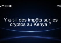 Y a-t-il des impôts sur les cryptos au Kenya ?