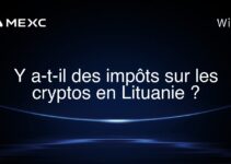 Y a-t-il des impôts sur les cryptos en Lituanie ?