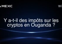 Y a-t-il des impôts sur les cryptos en Ouganda ?
