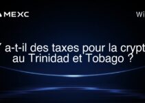 Y a-t-il des taxes pour la crypto au Trinidad et Tobago ?