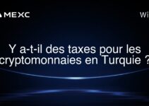Y a-t-il des taxes pour les cryptomonnaies en Turquie ?