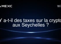 Y a-t-il des taxes sur la crypto aux Seychelles ?