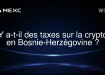 Y a-t-il des taxes sur la crypto en Bosnie-Herzégovine ?