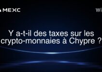Y a-t-il des taxes sur les crypto-monnaies à Chypre ?
