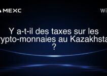 Y a-t-il des taxes sur les crypto-monnaies au Kazakhstan ?