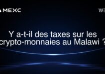 Y a-t-il des taxes sur les crypto-monnaies au Malawi ?