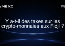 Y a-t-il des taxes sur les crypto-monnaies aux Fidji ?