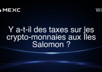 Y a-t-il des taxes sur les crypto-monnaies aux Îles Salomon ?