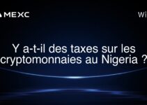 Y a-t-il des taxes sur les cryptomonnaies au Nigeria ?