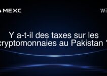 Y a-t-il des taxes sur les cryptomonnaies au Pakistan ?