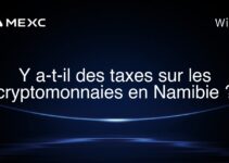 Y a-t-il des taxes sur les cryptomonnaies en Namibie ?