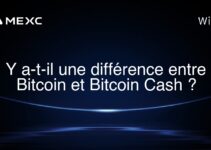 Y a-t-il une différence entre Bitcoin et Bitcoin Cash ?