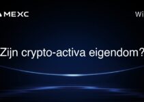 Zijn crypto-activa eigendom?