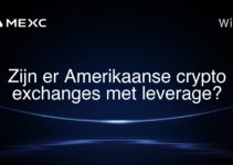 Zijn er Amerikaanse crypto exchanges met leverage?