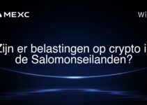 Zijn er belastingen op crypto in de Salomonseilanden?