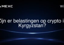 Zijn er belastingen op crypto in Kyrgyzstan?