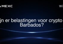 Zijn er belastingen voor crypto in Barbados?