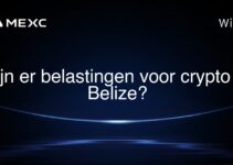 Zijn er belastingen voor crypto in Belize?