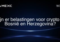 Zijn er belastingen voor crypto in Bosnië en Herzegovina?