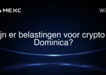 Zijn er belastingen voor crypto in Dominica?