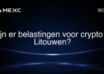 Zijn er belastingen voor crypto in Litouwen?