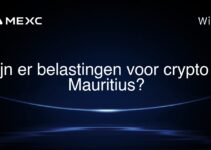 Zijn er belastingen voor crypto in Mauritius?