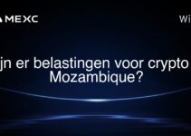 Zijn er belastingen voor crypto in Mozambique?