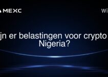 Zijn er belastingen voor crypto in Nigeria?