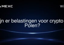 Zijn er belastingen voor crypto in Polen?