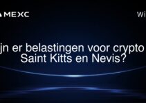 Zijn er belastingen voor crypto in Saint Kitts en Nevis?