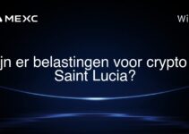 Zijn er belastingen voor crypto in Saint Lucia?