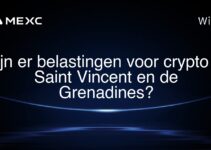 Zijn er belastingen voor crypto in Saint Vincent en de Grenadines?