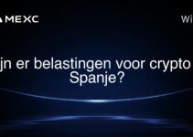 Zijn er belastingen voor crypto in Spanje?