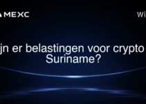 Zijn er belastingen voor crypto in Suriname?