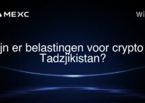 Zijn er belastingen voor crypto in Tadzjikistan?
