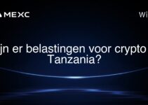Zijn er belastingen voor crypto in Tanzania?