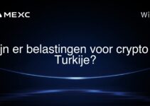 Zijn er belastingen voor crypto in Turkije?