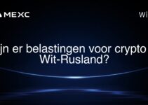 Zijn er belastingen voor crypto in Wit-Rusland?