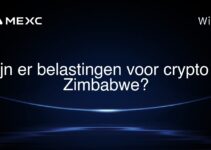 Zijn er belastingen voor crypto in Zimbabwe?