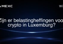 Zijn er belastingheffingen voor crypto in Luxemburg?