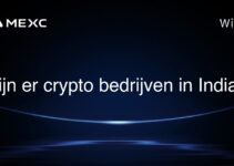 Zijn er crypto bedrijven in India?