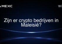 Zijn er crypto bedrijven in Maleisië?