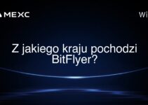 Z jakiego kraju pochodzi BitFlyer?