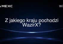 Z jakiego kraju pochodzi WazirX?