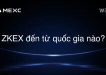 ZKEX đến từ quốc gia nào?