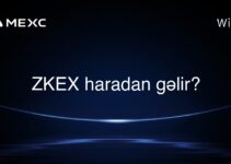 ZKEX haradan gəlir?
